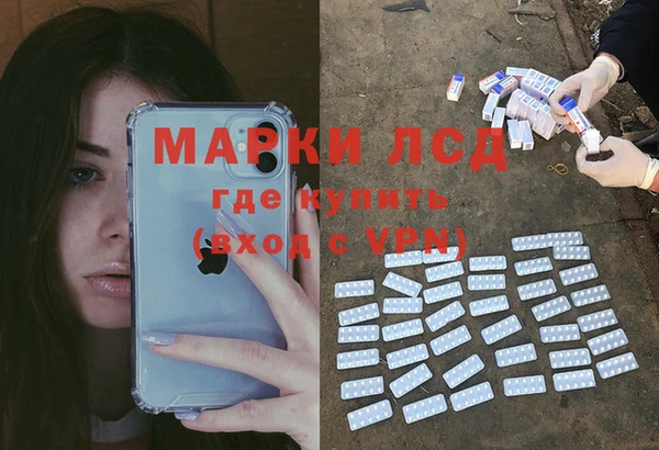 шишки Гусь-Хрустальный