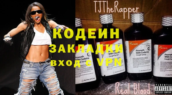шишки Гусь-Хрустальный