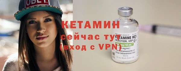 шишки Гусь-Хрустальный