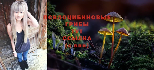 шишки Гусь-Хрустальный