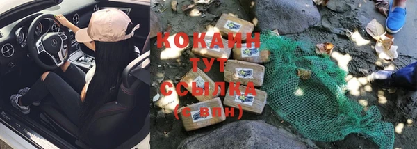 шишки Гусь-Хрустальный