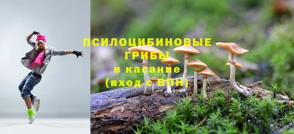 твердый Гусиноозёрск
