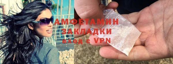 шишки Гусь-Хрустальный